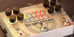 The one effect pedal I really need: Pigtronix Echolution Phi