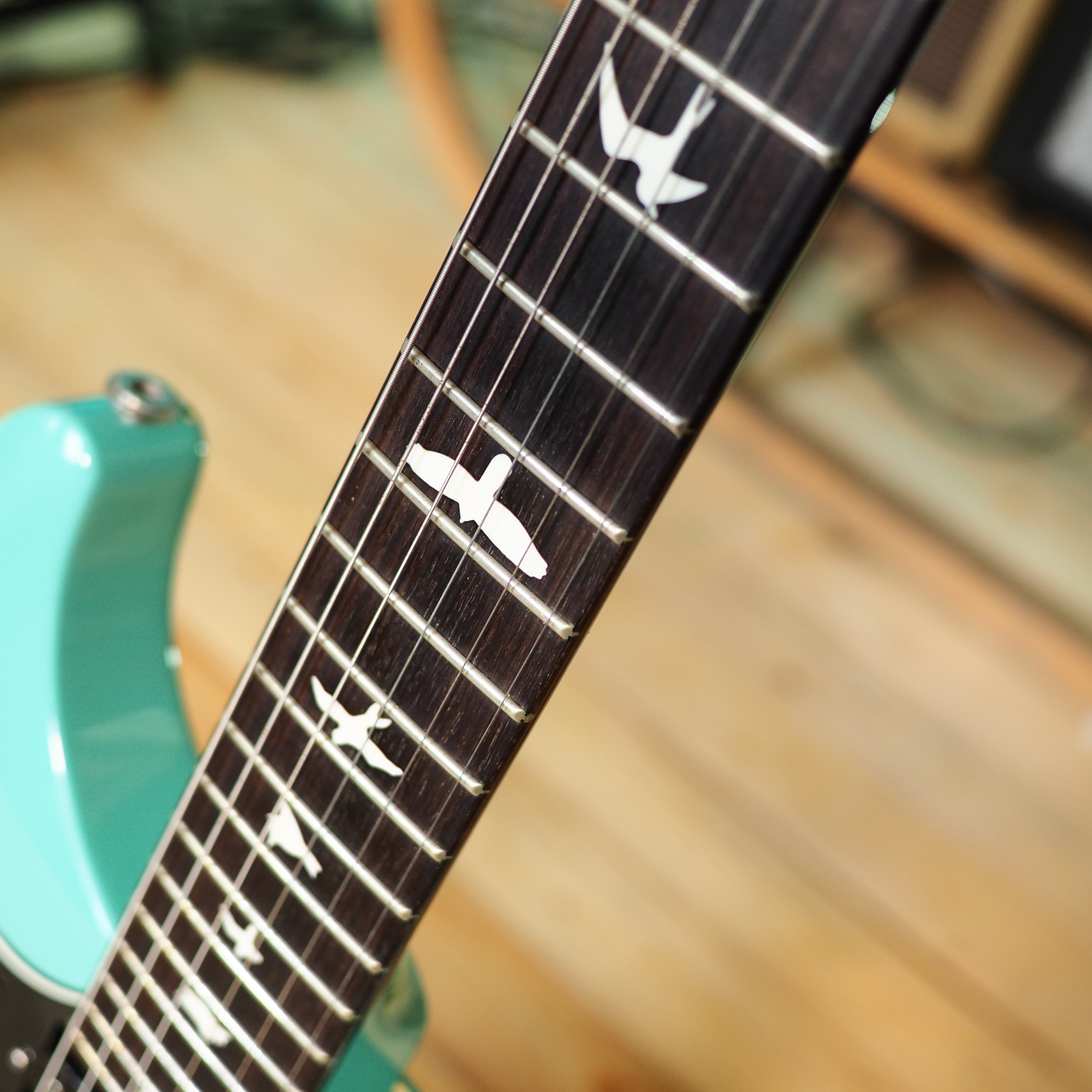PRS S2 Standard 24 With Bird Inlays Wurst guitars prs-s2-standard-24-with-bird-inlays-wurst-guitars