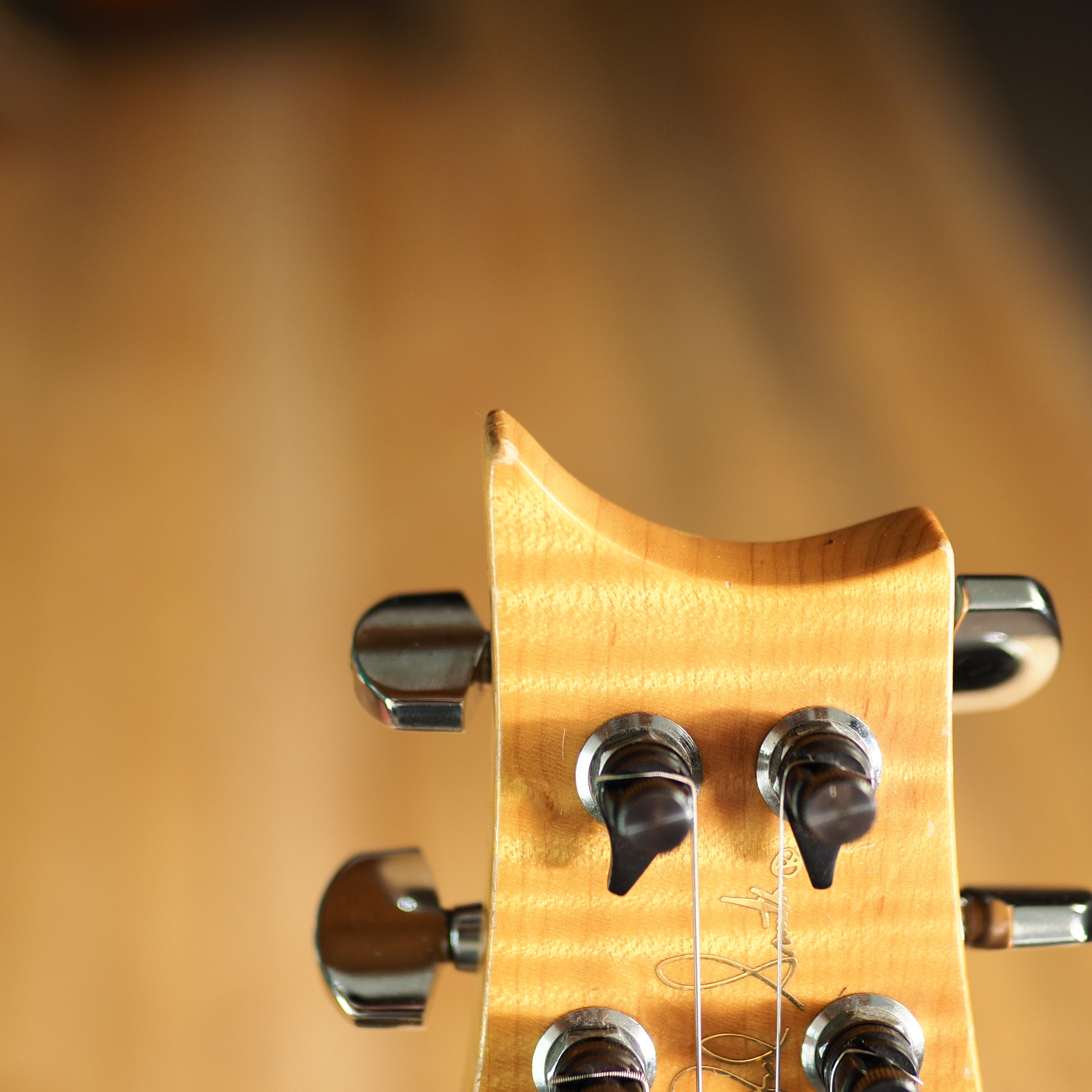 PRS Swamp Ash Special 1997