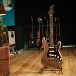 Load image into Gallery viewer, Fender Limited Edition American Professional II Stratocaster with Rosewood Neck
