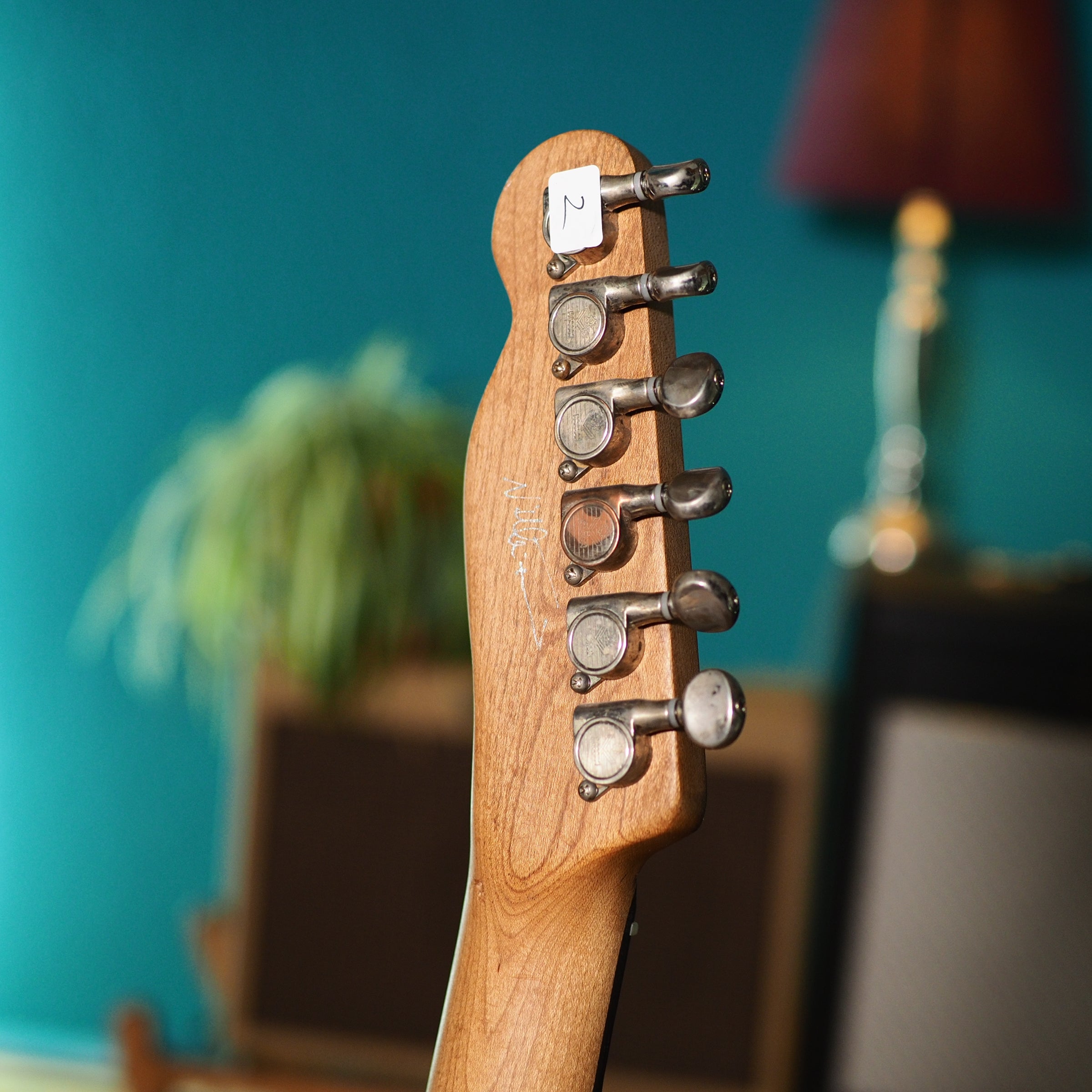 Baboushka Stardust F Trem