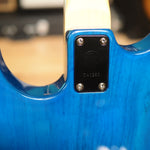 Load image into Gallery viewer, Floyd Rose Redmond Series + Case and Strings!
