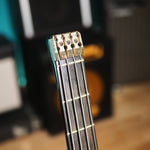 Lade das Bild in den Galerie-Viewer, Washburn 1000 Series S70 Status
