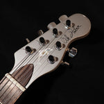 Load image into Gallery viewer, Nik Huber Dolphin Bolt-On in Dark Silver - wurst.guitars
