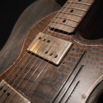 Lade das Bild in den Galerie-Viewer, James Trussart Rust O Matic Steelguardcaster Driftwood - wurst.guitars
